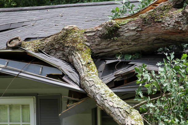 The Complete Guide to Filing a Roof Insurance Claim in Texas