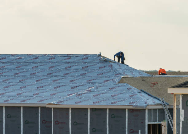What to Do After Hail Damages Your Roof in North Texas