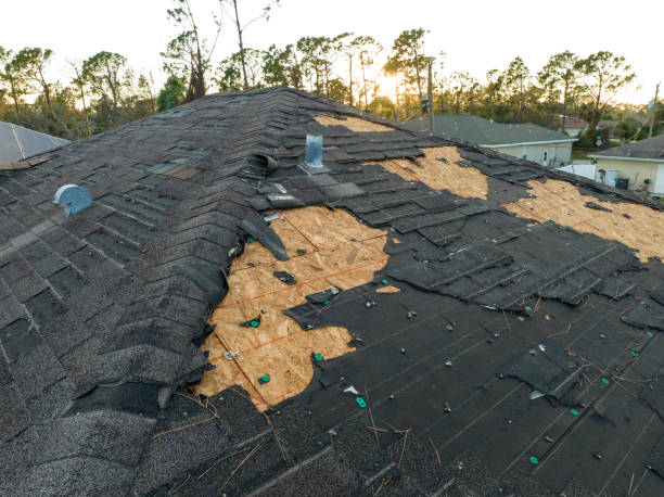 Texas Hail Damage Roof Repair: Steps to Take Before It Gets Worse