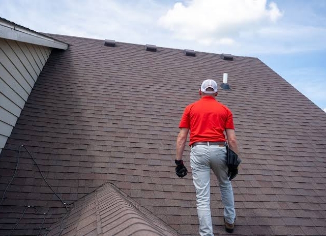 Roofer in a red shirt walking up a brown shingle roof to inspect it