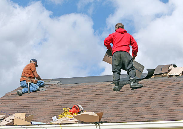 A Roof Maintenance Calendar Built on Collin County’s Own Storm Record